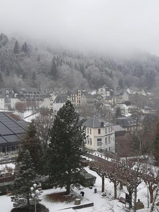 Le Sarciron 82 Appartement Le Mont-Dore Buitenkant foto